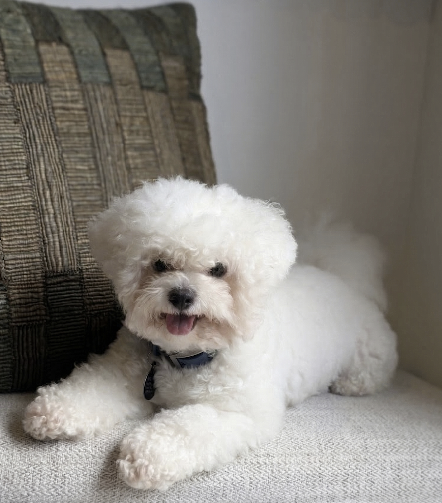 Mochi