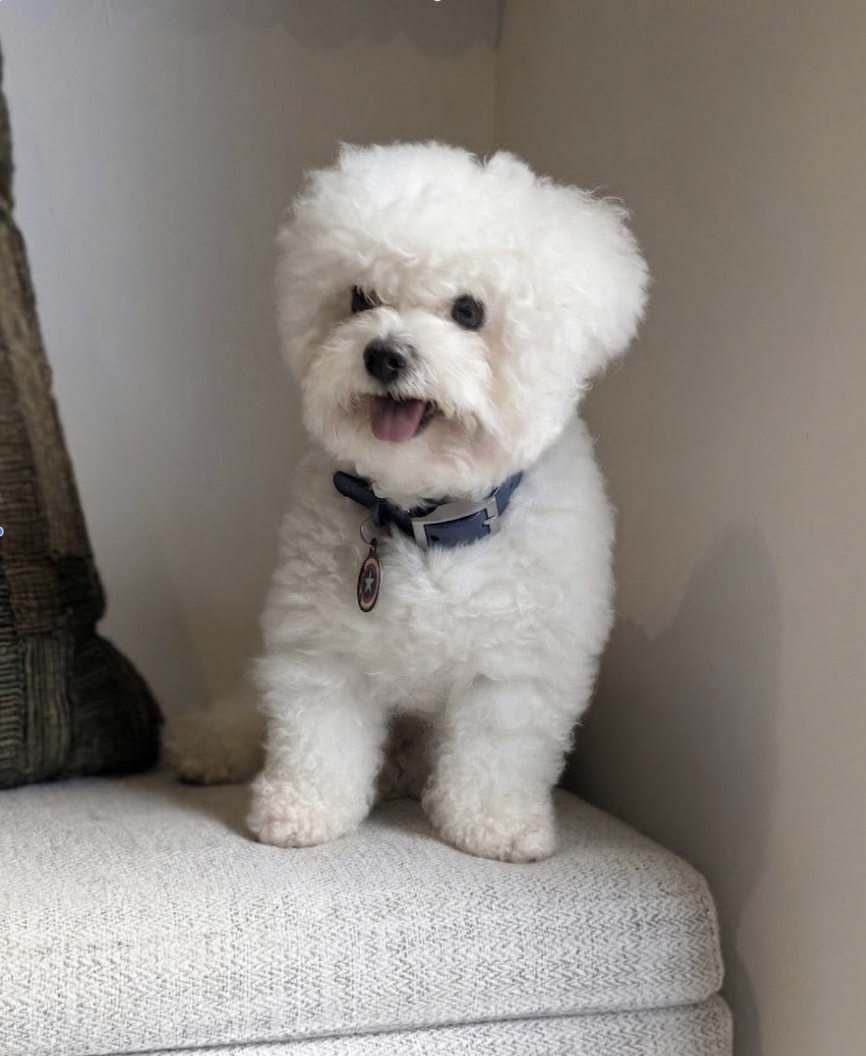 Mochi