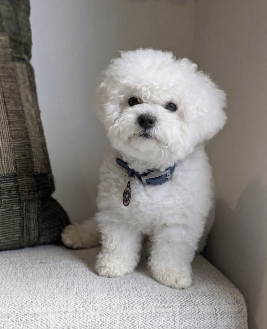 Mochi